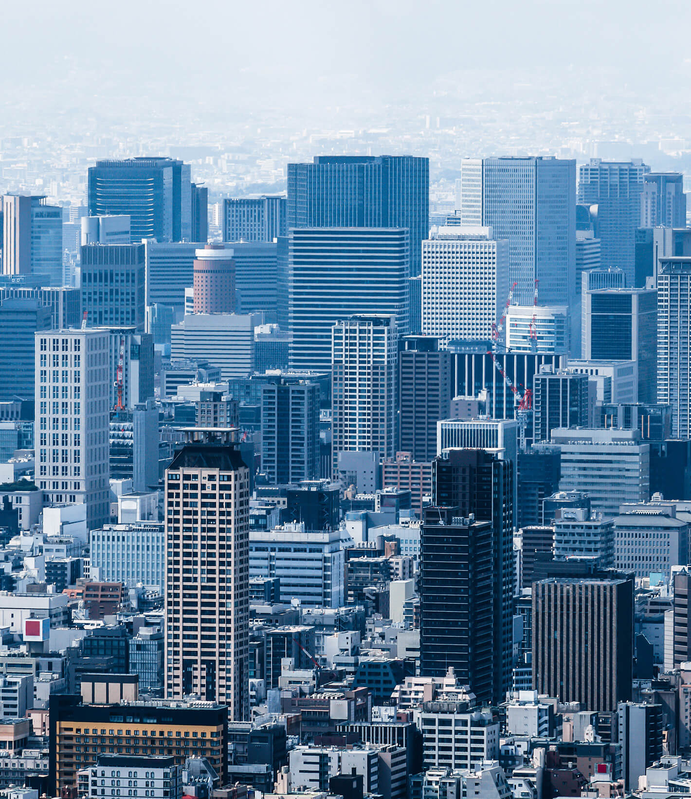 不動産ソリューション