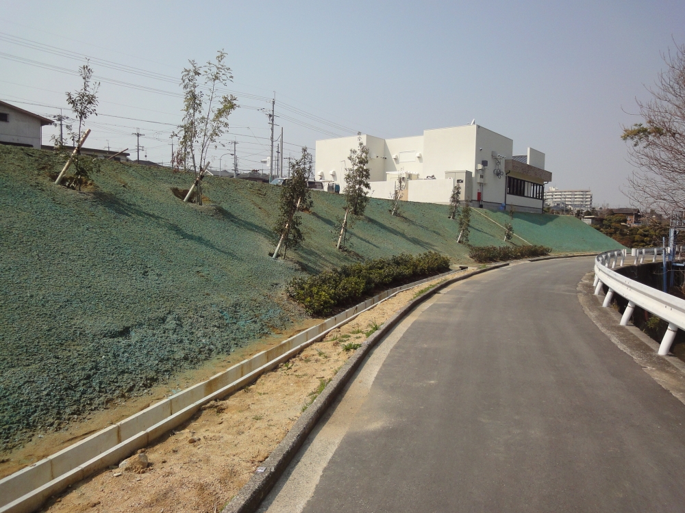 樹木や芝生を植え、アスファルト敷設の為に下地を固めます