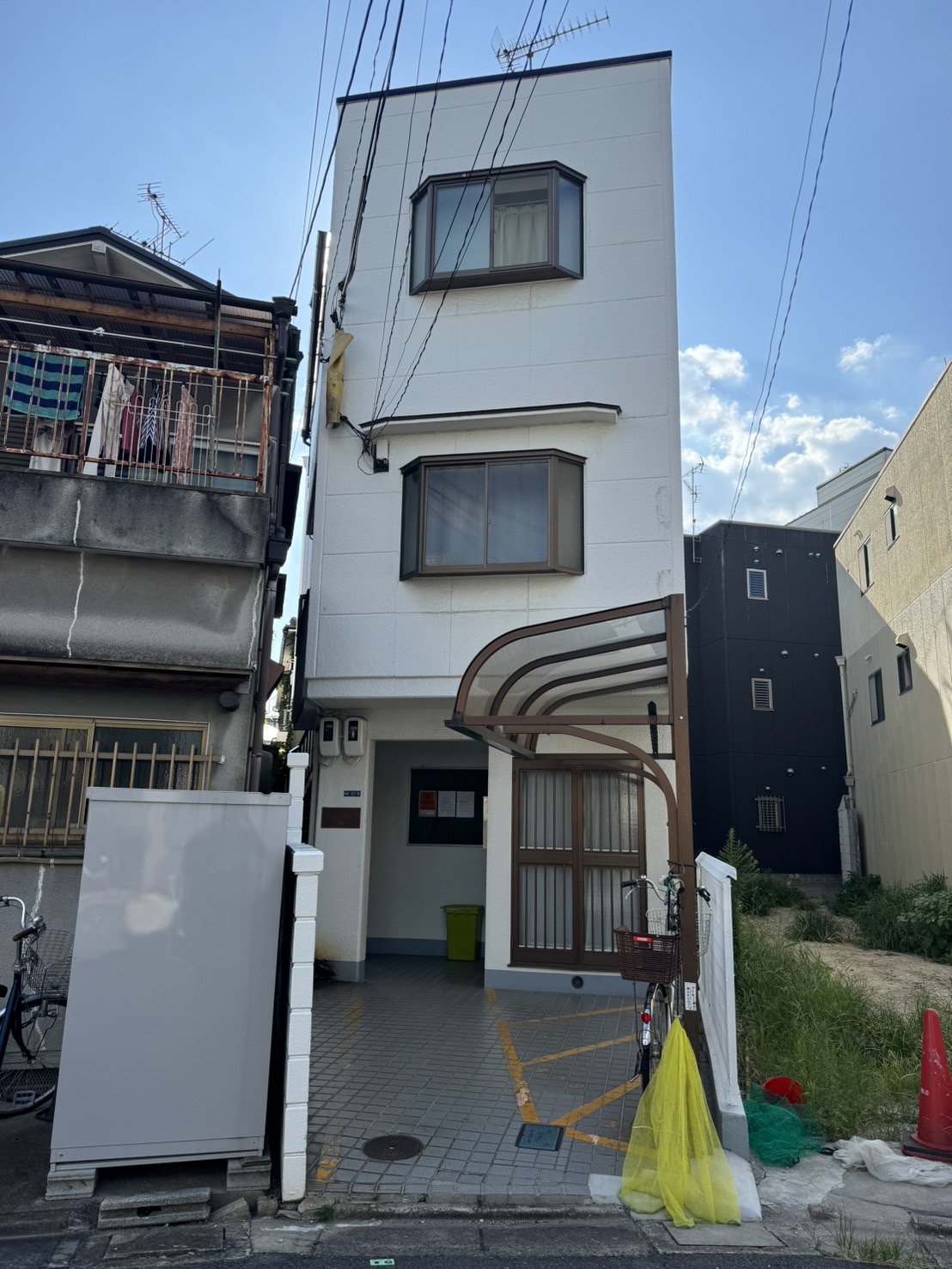 ブランシェルツ大枝